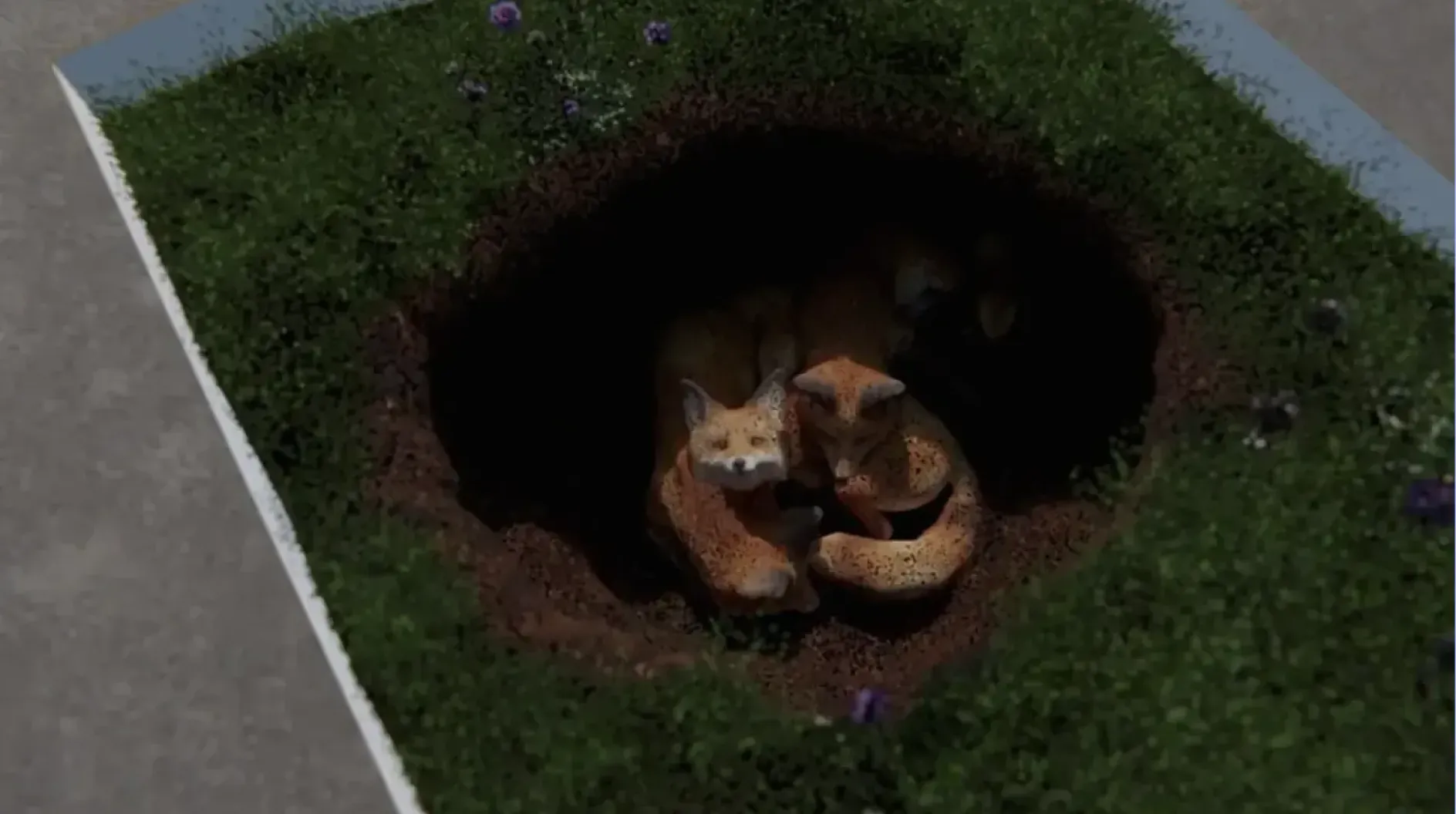 A family of foxes in a foxhole