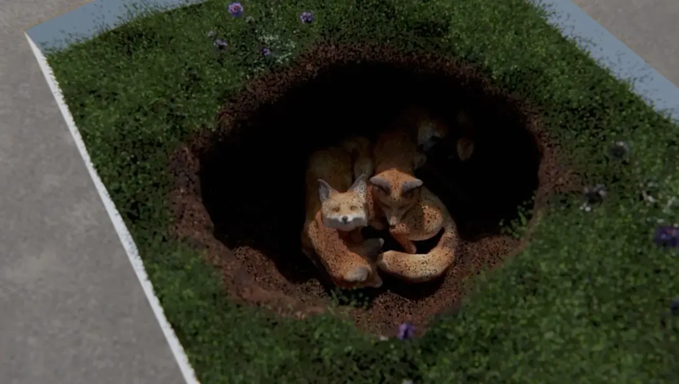 Foxes in a ground den