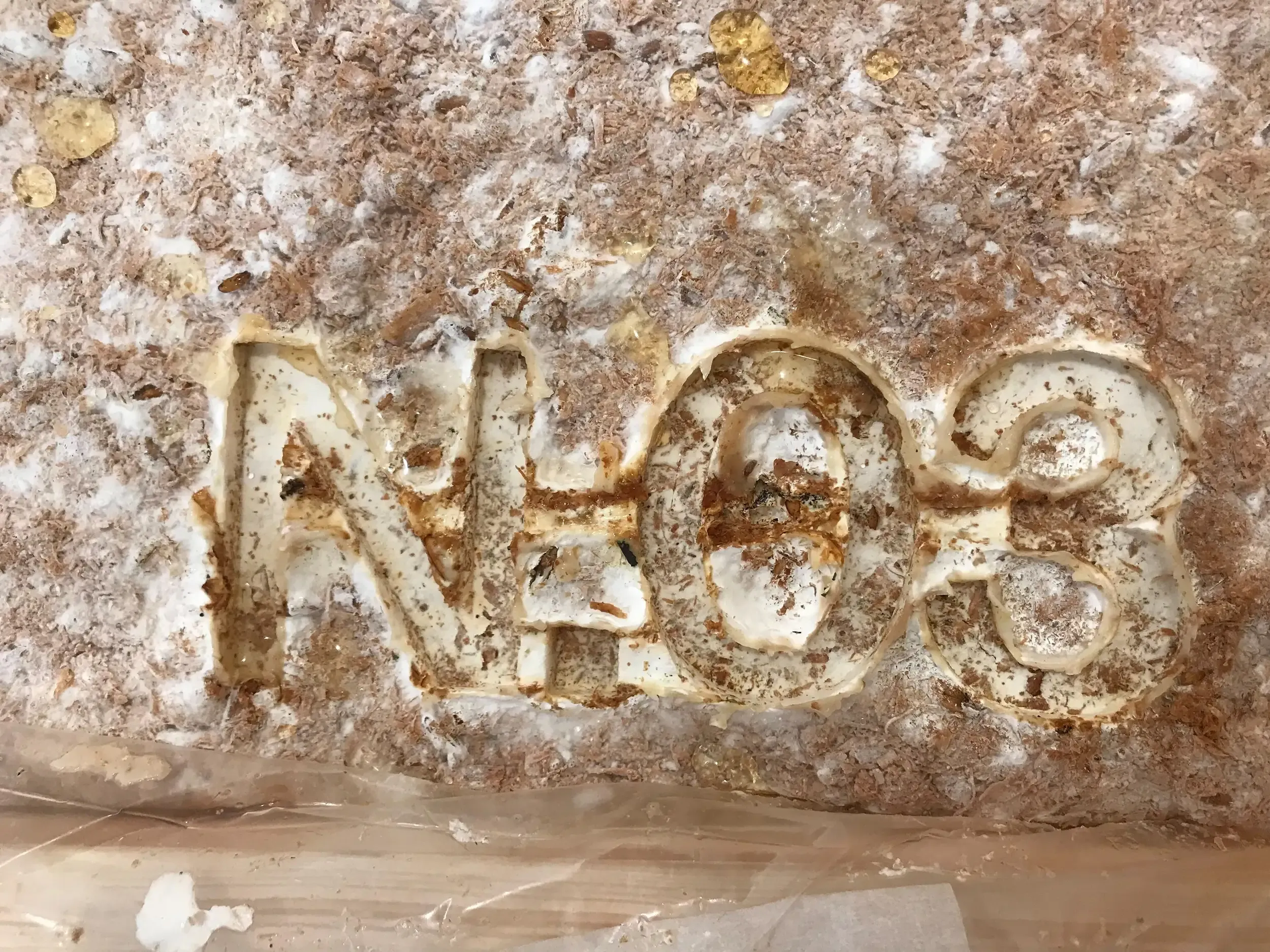 Mycelium material with the imprint 'N.03'